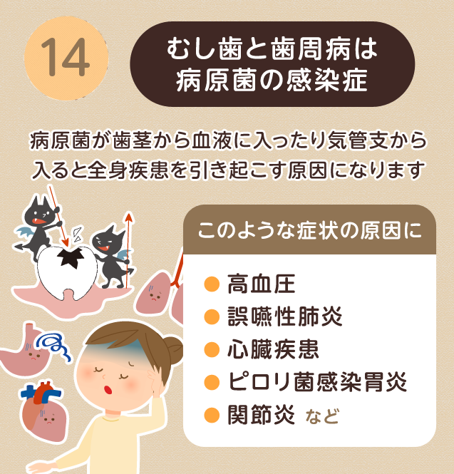 ⑭むし歯と歯周病は病原菌の感染症。全身疾患を引き起こす原因になります